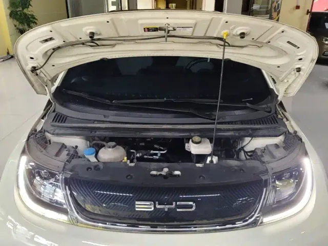 BYD Dolphin — Фото автомобиля 15