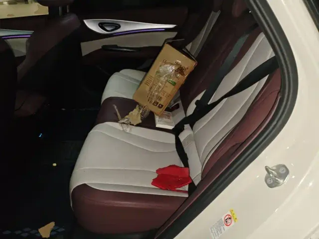 BYD Seal 07 DM-i — Фото автомобиля 18