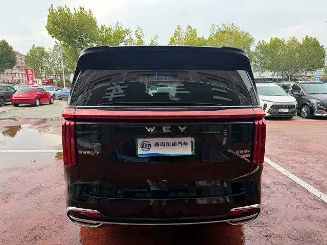 Wey Alpine — Фото автомобиля 5
