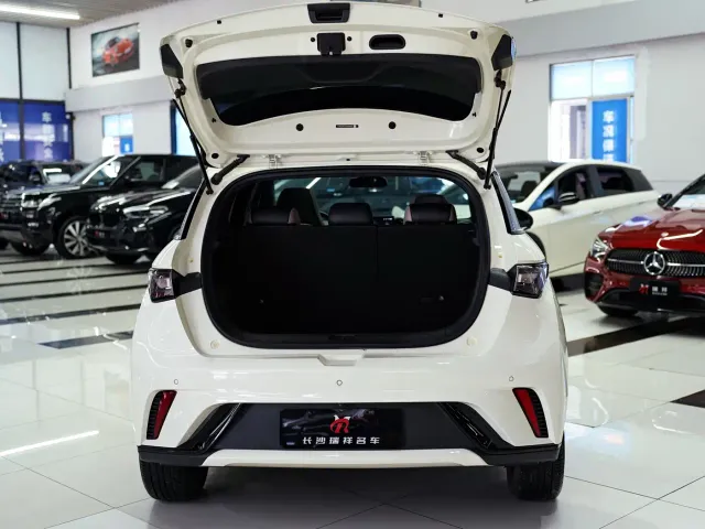 BYD Dolphin — Фото автомобиля 13