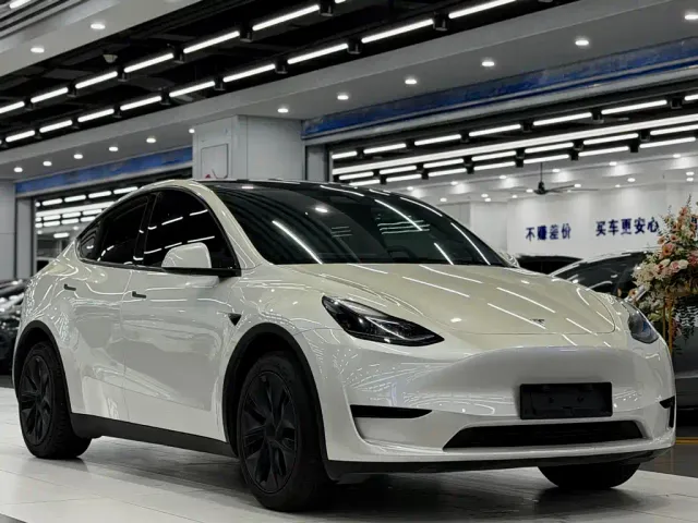 Tesla Model Y — Фото автомобиля 3