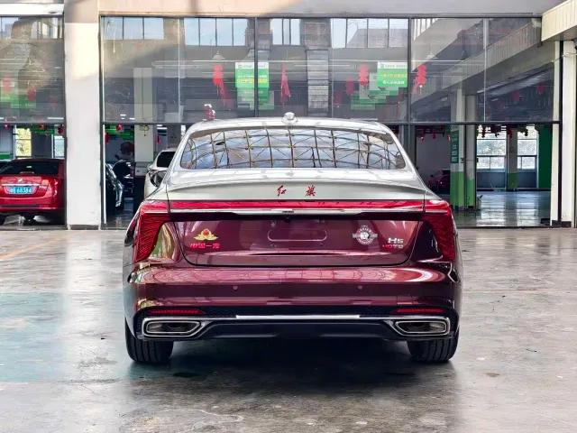 Hongqi H5 — Фото автомобиля 19