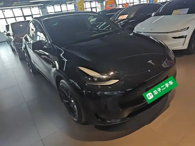Tesla Model Y — Фото автомобиля 3