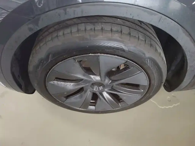 Tesla Model Y — Фото автомобиля 22