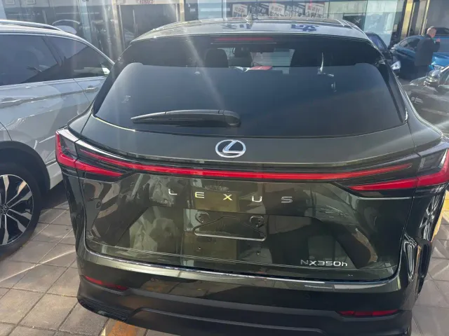 Lexus NX — Фото автомобиля 19
