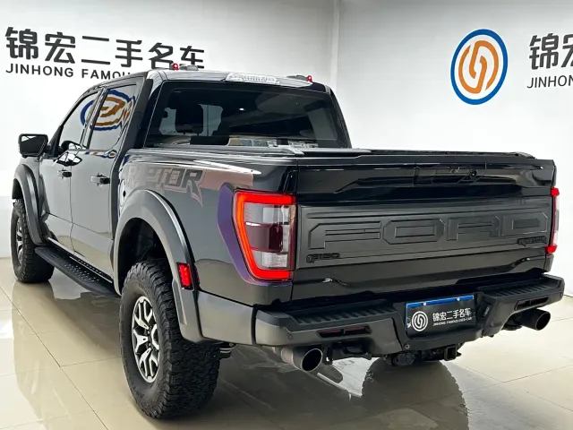 Ford F-150 Raptor — Фото автомобиля 28