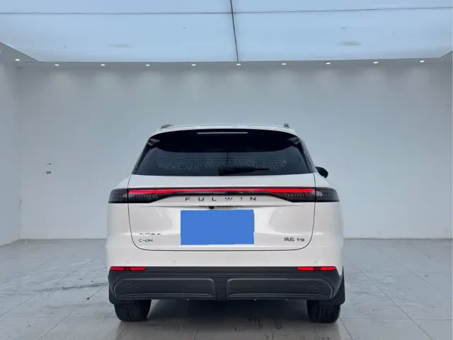 Chery Fulwin T9 — Фото автомобиля 17