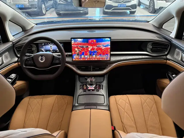 Denza Denza D9 2024 DM-i 1050 Premium — Фото автомобиля 9