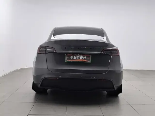 Tesla Model Y — Фото автомобиля 4
