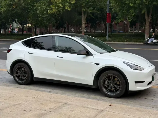 Tesla Model Y — Фото автомобиля 3