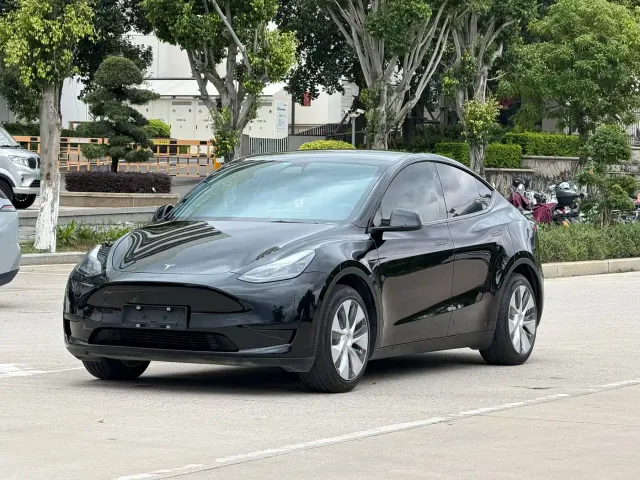 Tesla Model Y — Фото автомобиля 3