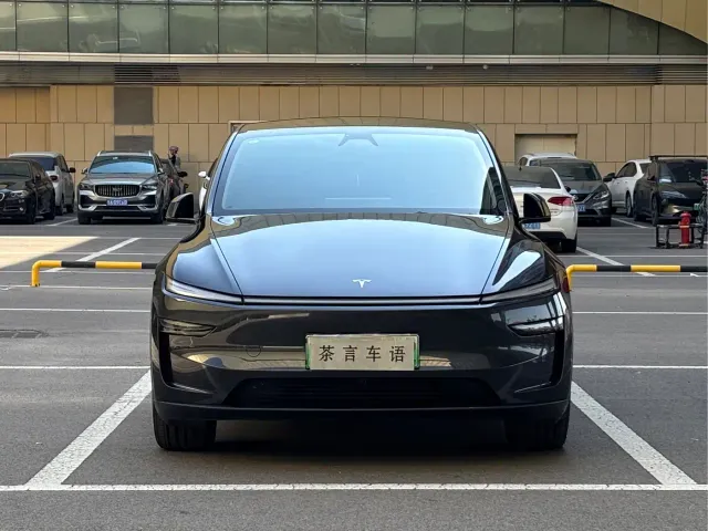 Tesla Model Y — Фото автомобиля 2