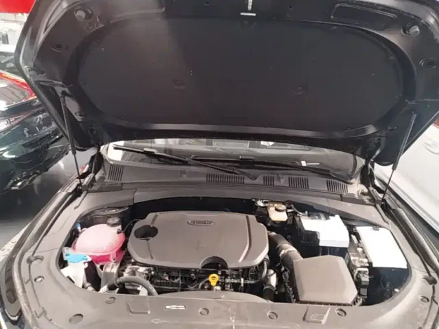Geely Xingrui — Фото автомобиля 19