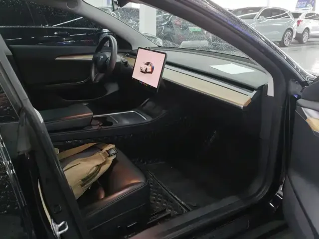Tesla Model 3 — Фото автомобиля 8