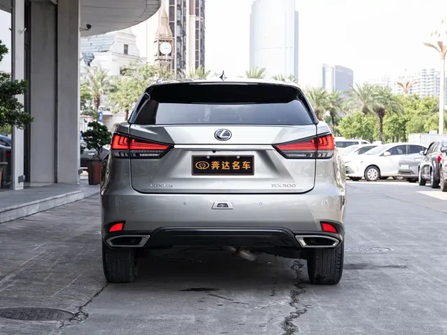 Lexus RX — Фото автомобиля 5