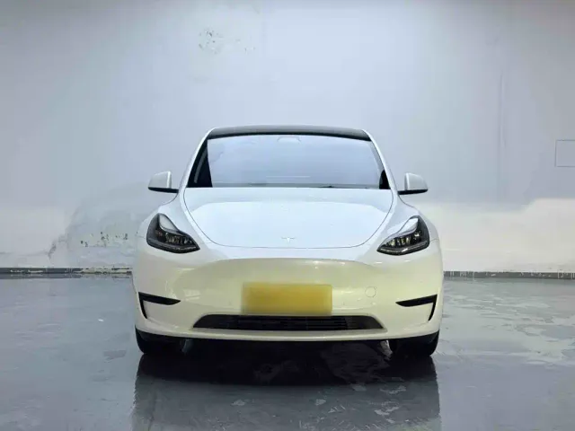 Tesla Model Y — Фото автомобиля 2