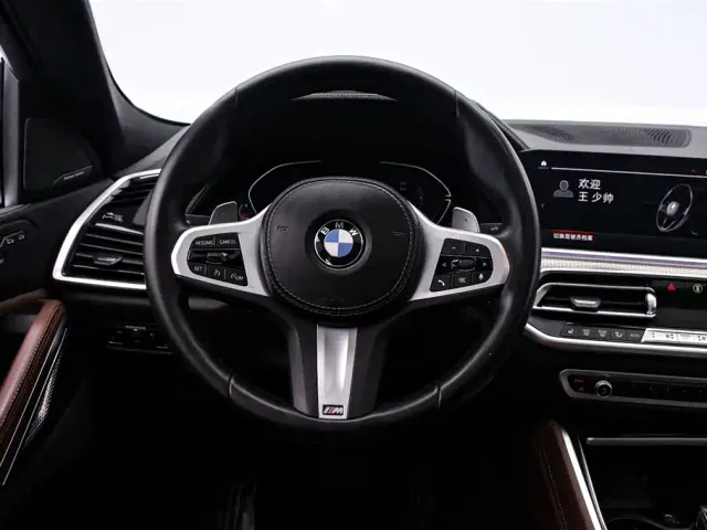 BMW X6 — Фото автомобиля 7