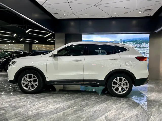 Haval H6 — Фото автомобиля 8