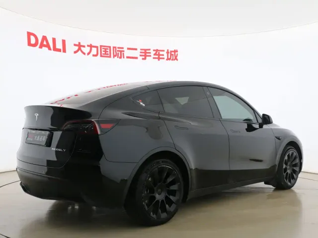 Tesla Model Y — Фото автомобиля 13