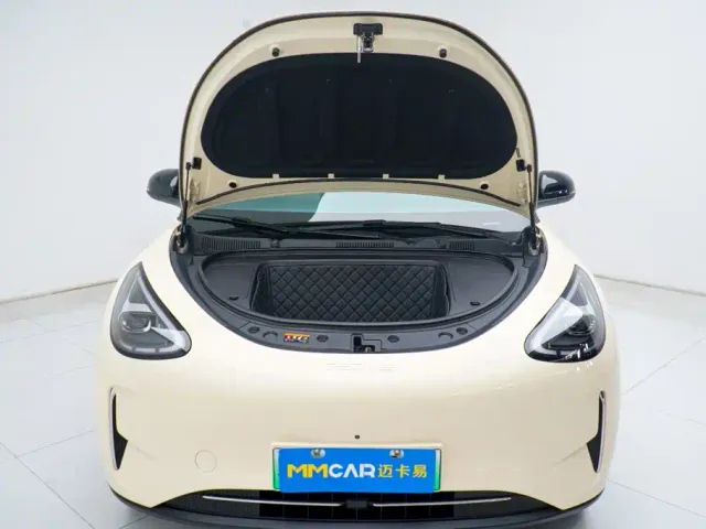 Geely Starry Wish — Фото автомобиля 15