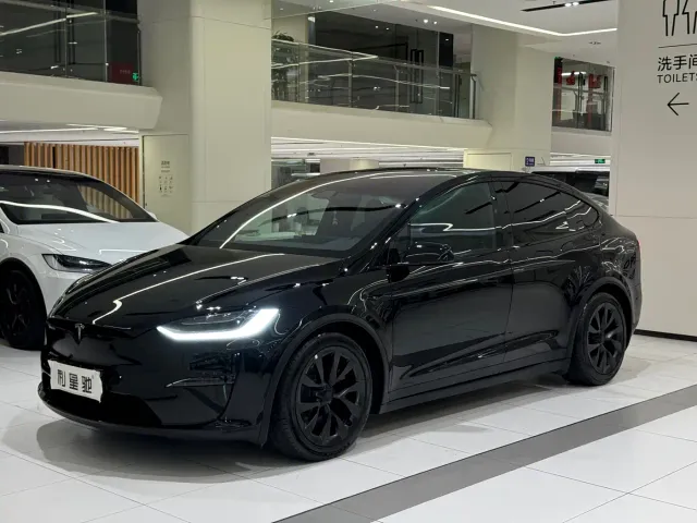 Tesla Model X — Фото автомобиля 23