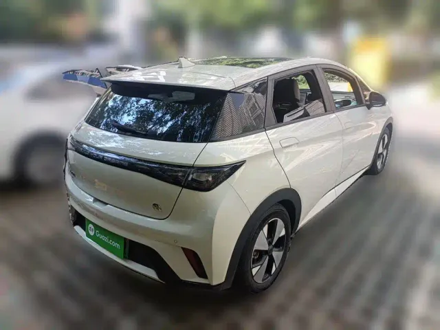 BYD Dolphin — Фото автомобиля 4