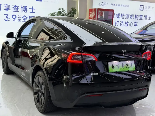 Tesla Model Y — Фото автомобиля 10