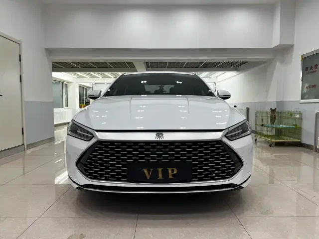 BYD Qin PLUS — Фото автомобиля 2