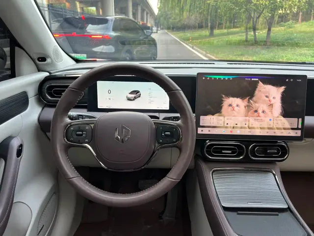 Leapmotor C11 — Фото автомобиля 5