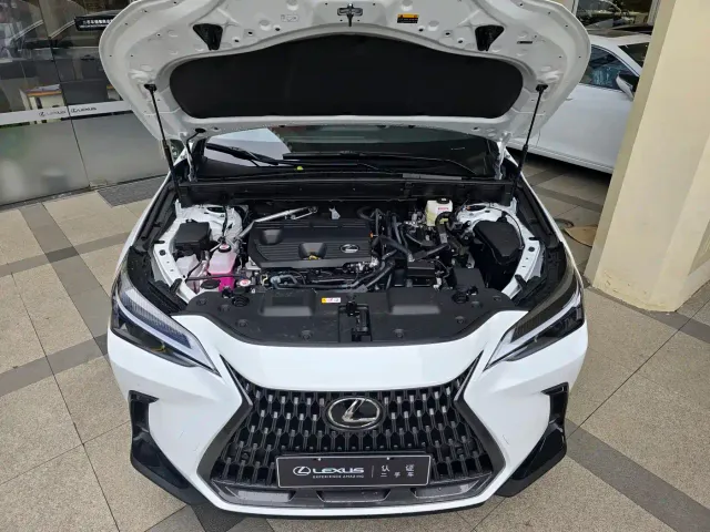 Lexus NX — Фото автомобиля 7