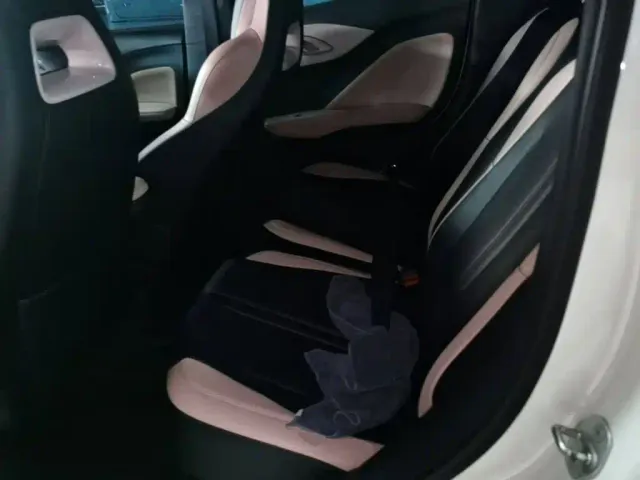 BYD Seagull — Фото автомобиля 16