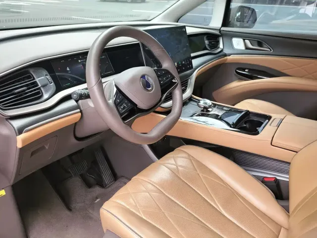Denza D9 — Фото автомобиля 11