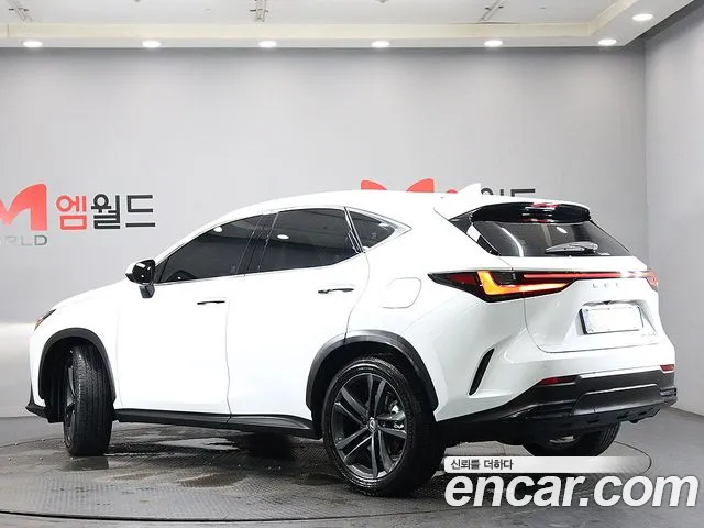 Lexus NX — Фото автомобиля 3