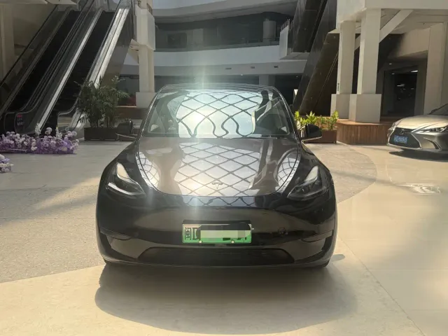 Tesla Model Y — Фото автомобиля 2