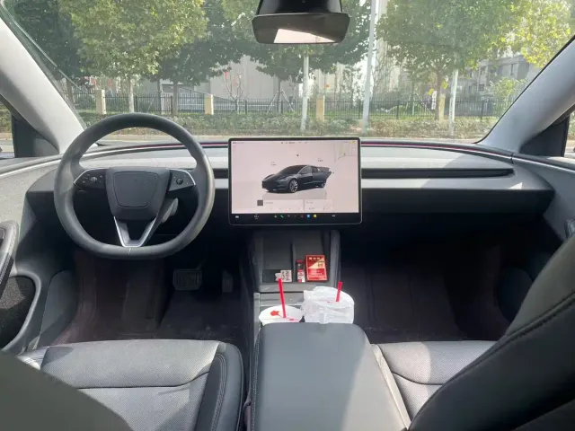 Tesla Model 3 — Фото автомобиля 6
