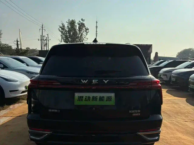 Wey Lanshan — Фото автомобиля 7
