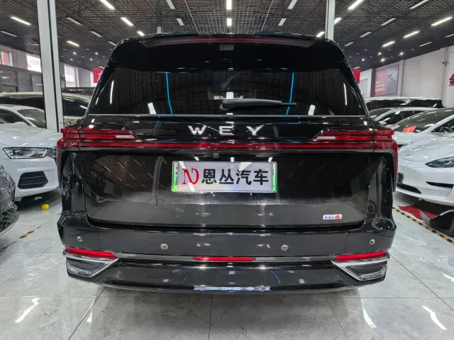 Wey Lanshan — Фото автомобиля 11