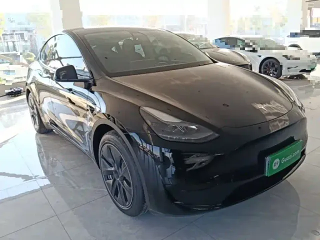 Tesla Model Y — Фото автомобиля 3