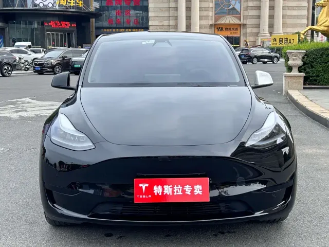 Tesla Model Y — Фото автомобиля 3