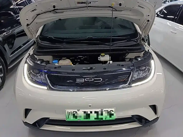BYD Dolphin — Фото автомобиля 19