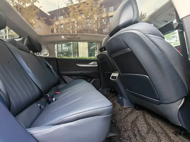 Buick Electra L7 — Фото автомобиля 12