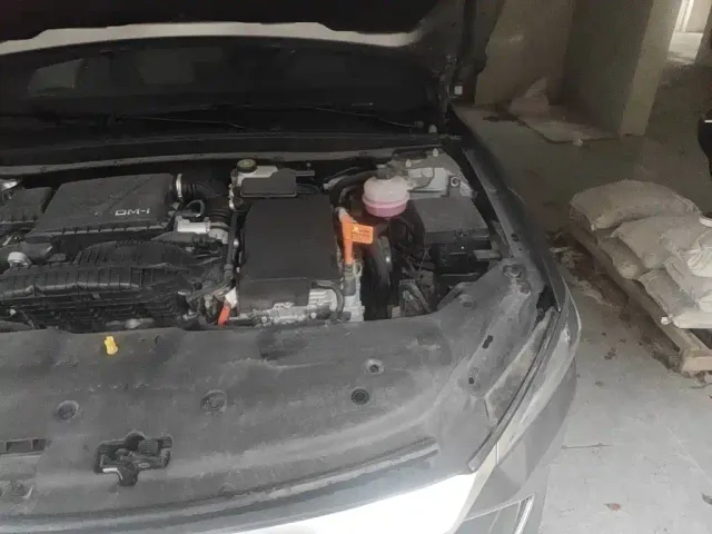 BYD Qin PLUS — Фото автомобиля 22
