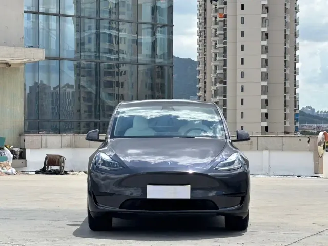Tesla Model Y — Фото автомобиля 2