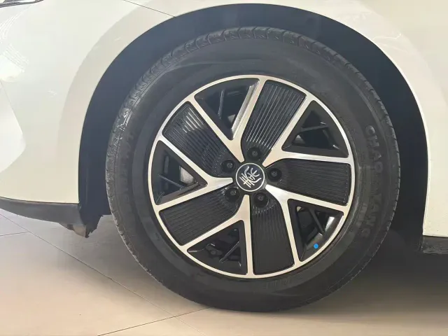 BYD Qin L — Фото автомобиля 12