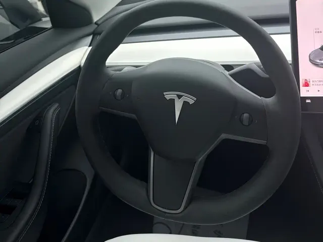 Tesla Model 3 — Фото автомобиля 12