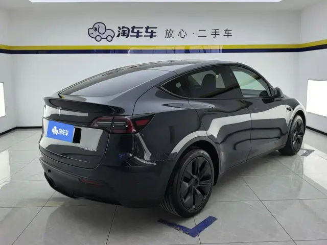 Tesla Model Y — Фото автомобиля 3