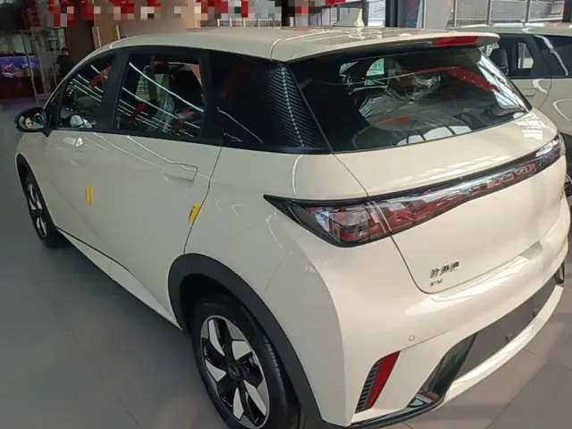 BYD Dolphin — Фото автомобиля 4