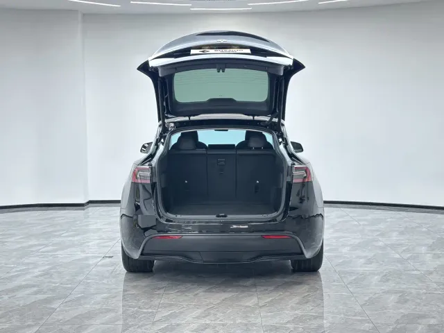 Tesla Model Y — Фото автомобиля 4