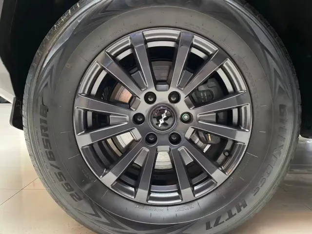 BYD FangChengBao Leopard 5 — Фото автомобиля 20
