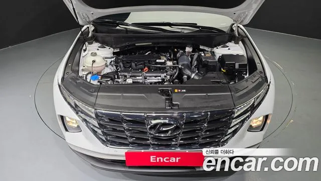Hyundai Tucson Tucson (NX4) Бензин 1.6 турбо 2WD — Фото автомобиля 6